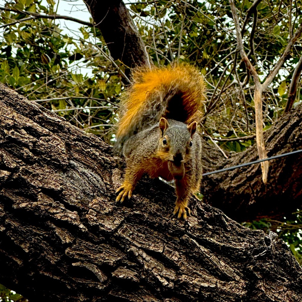 Meet your Posher, HD